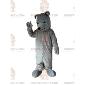 Στολή μασκότ Grey Dog BIGGYMONKEY™, Στολή σκύλου, Grey Doggie - Μασκότ σκυλιών - BIGGYMONKEY_09028 - BiggyMonkey.com