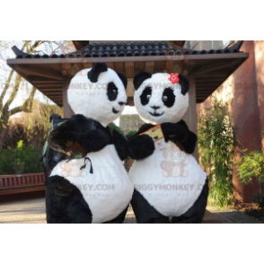 2 BIGGYMONKEY™s black and white panda mascot - Pandas mascot - BIGGYMONKEY_01028 - BiggyMonkey.com