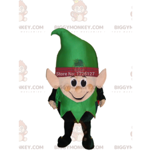 Leprechaun BIGGYMONKEY™ maskotkostume, alfekostume, fe-kostume