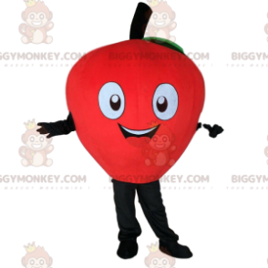 Costume de mascotte BIGGYMONKEY™ de pomme rouge, géante