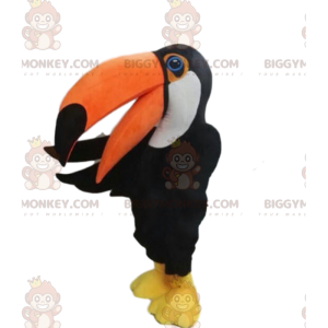 Giant Toucan BIGGYMONKEY™ maskottiasu, musta papukaija-asu -