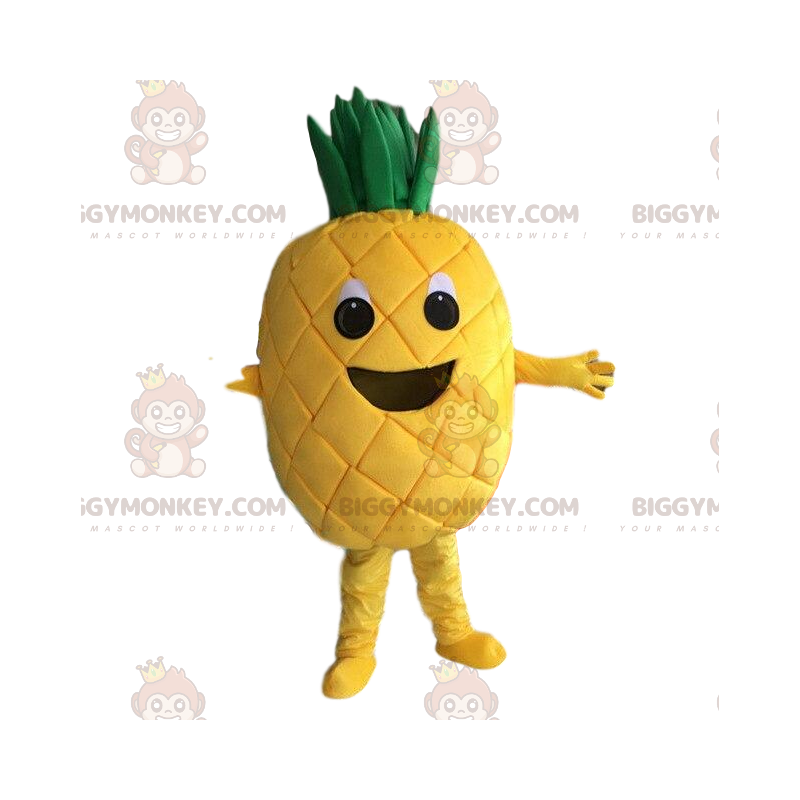Yellow pineapple costume, pineapple costume, exotic fruit –