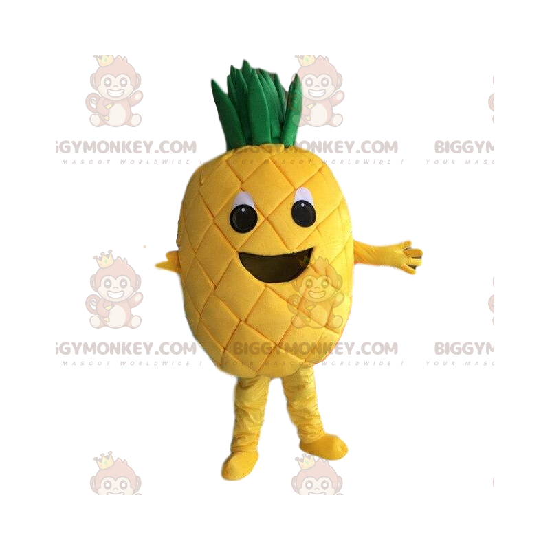 Yellow pineapple costume, pineapple costume, exotic fruit -