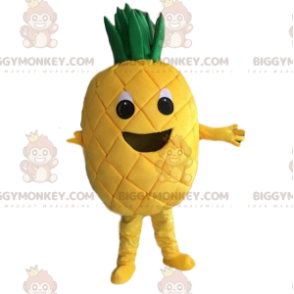 Geel ananaskostuum, ananaskostuum, exotisch fruit -