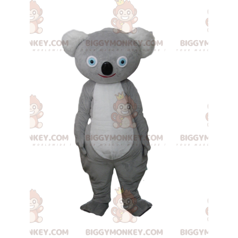 Kostým maskota šedé koaly BIGGYMONKEY™, kostým Aussie, australské zvíře - Koala maskoti - BIGGYMONKEY_09248 - BiggyMonkey.com