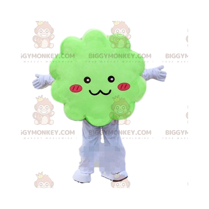 Costume de mascotte BIGGYMONKEY™ de nuage vert, costume vert