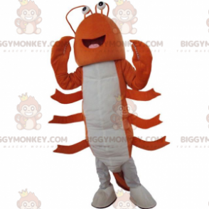 Kostým maskota oranžového a bílého humra BIGGYMONKEY™, kostým oranžové raky - Rybí maskoti - BIGGYMONKEY_09332 - BiggyMonkey.com