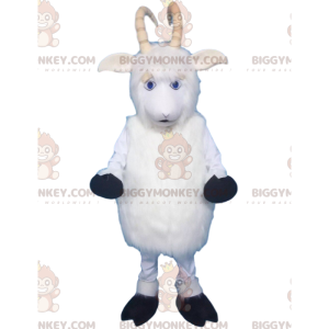 Alegrarse Sobrio Cuando Disfraz de mascota de oveja, cabra y carnero Tamaño L (175-180 CM)