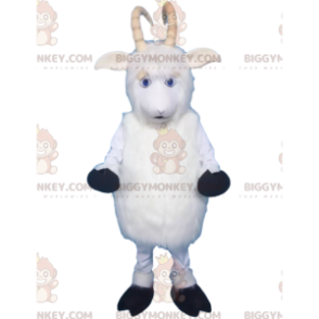 BIGGYMONKEY™ schaap, geit, witte ram met hoorns mascottekostuum