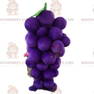 Disfraz de mascota Racimo de uvas gigante BIGGYMONKEY™, Disfraz