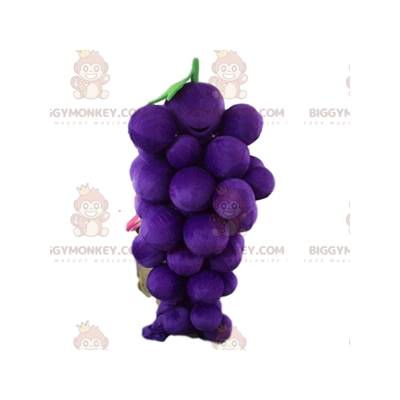 Disfraz de mascota Racimo de uvas gigante BIGGYMONKEY™, Disfraz