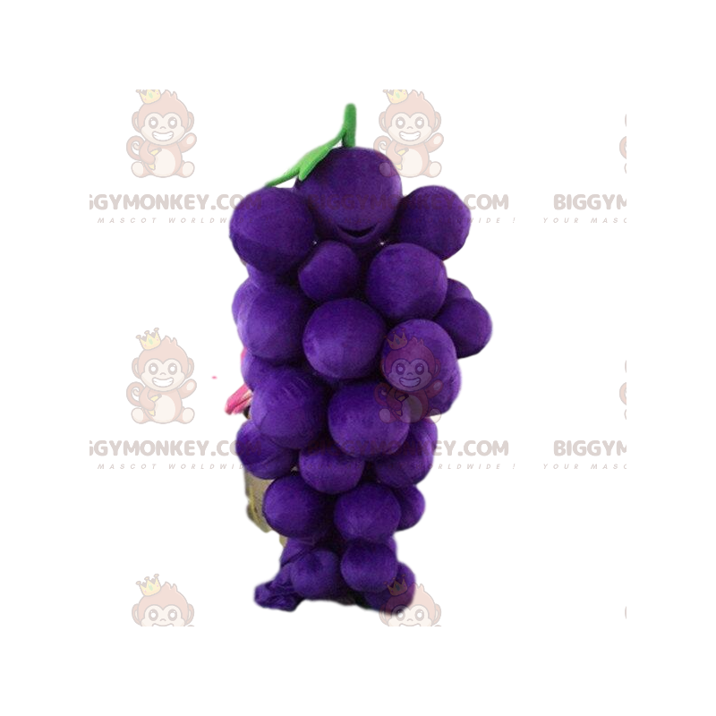 Giant Bunch of Grapes BIGGYMONKEY™ Mascot Costume, Fruit