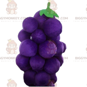 Costume da mascotte da grappolo d'uva gigante BIGGYMONKEY™