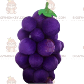 Στολή μασκότ BIGGYMONKEY™ Giant Bunch of Grapes, Στολή φρούτων - Μασκότ φρούτων - BIGGYMONKEY_09416 - BiggyMonkey.com