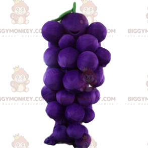 Disfraz de mascota Racimo de uvas gigante BIGGYMONKEY™, Disfraz
