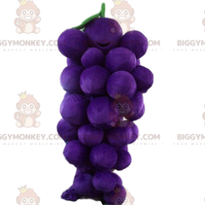 Gigantisk drueklase BIGGYMONKEY™ maskotkostyme, fruktkostyme - Frukt maskot - BIGGYMONKEY_09416 - BiggyMonkey.com