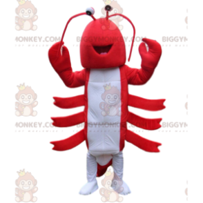 BIGGYMONKEY™-Maskottchen-Kostüm roter und weißer Hummer
