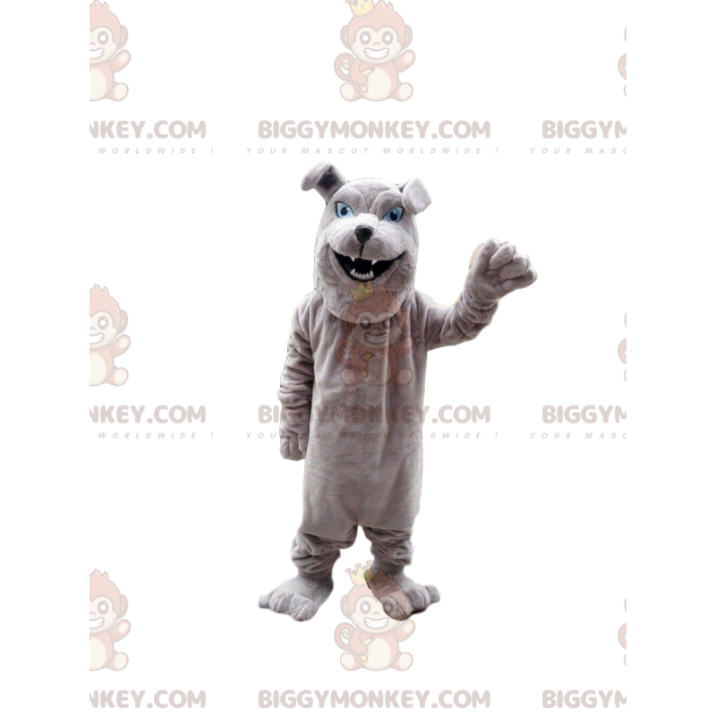 Grijze bulldog BIGGYMONKEY™ mascottekostuum, raszuivere