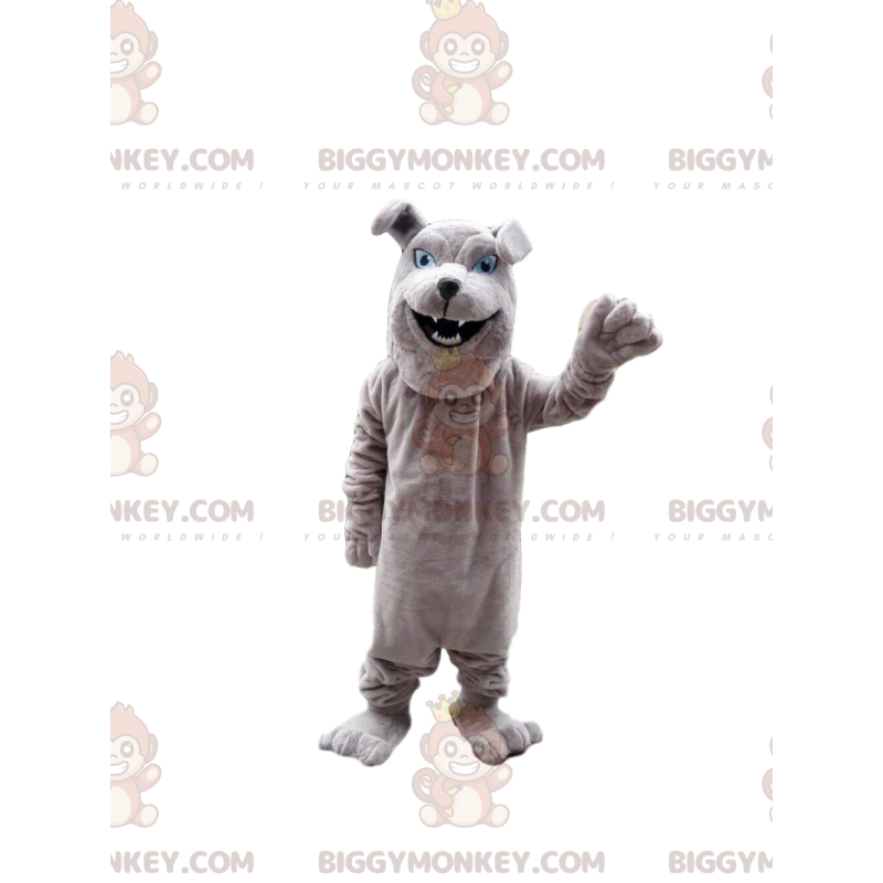 Traje de mascote de buldogue cinza BIGGYMONKEY™, fantasia de Traje de mascote de buldogue cinza BIGGYMONKEY™, fantasia de