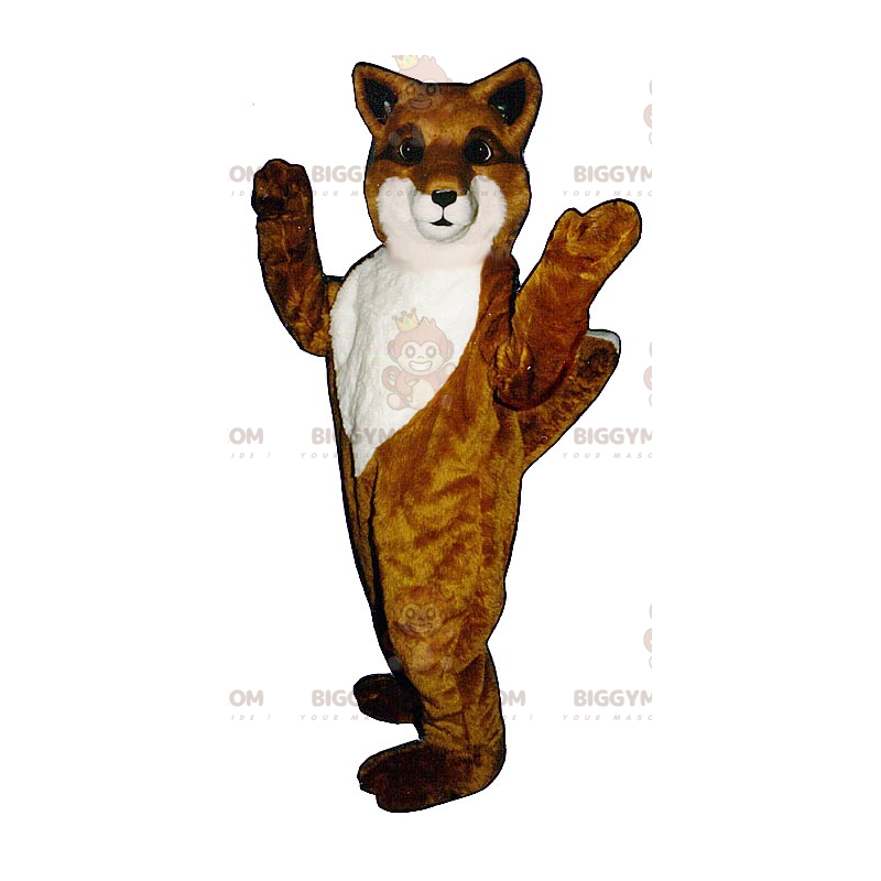 Costume de mascotte BIGGYMONKEY™ de renard orange et blanc - Costume de mascotte BIGGYMONKEY™ de renard orange et blanc -