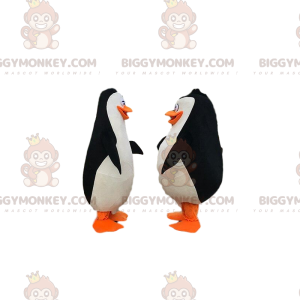 2 tučňáci z karikatury "Tučňáci z Madagaskaru" – Biggymonkey.com