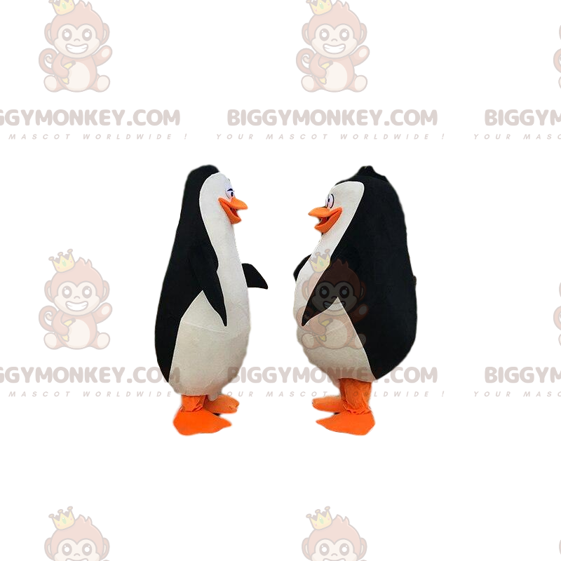 2 πιγκουίνοι από το καρτούν "Penguins of Madagascar" - Μασκότ ψαριών - BIGGYMONKEY_09574 - BiggyMonkey.com