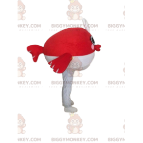 Disfraz de mascota BIGGYMONKEY™ pez dorado y pez blanco, disfraz de mar - Mascotas de pescado - BiggyMonkey.com