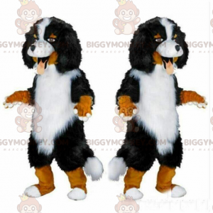 Berner Sennenhund BIGGYMONKEY™ maskotdräkt, renrasad hunddräkt