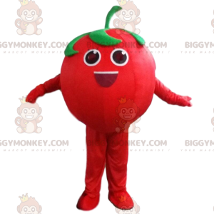 BIGGYMONKEY™ giant red tomato mascot costume, fruit and