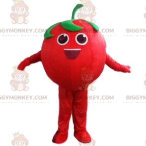 BIGGYMONKEY™ riesiges rotes Tomaten-Maskottchen-Kostüm, Obst-