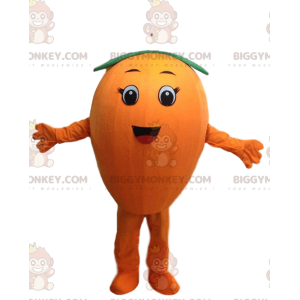 BIGGYMONKEY™ Mascot Costume Giant Orange, Round Fruit Costume