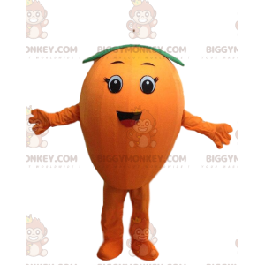 Kostým maskota BIGGYMONKEY™ Obří pomeranč, kostým kulatého