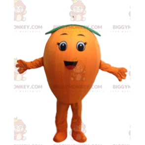 BIGGYMONKEY™ Mascot Costume Giant Orange, Round Fruit Costume