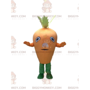 Giant carrot BIGGYMONKEY™ mascot costume, giant vegetable costume - Vegetable mascot - BIGGYMONKEY_09749 - BiggyMonkey.com