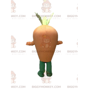 Giant carrot BIGGYMONKEY™ mascot costume, giant vegetable