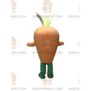 Giant carrot BIGGYMONKEY™ mascot costume, giant vegetable costume - Vegetable mascot - BIGGYMONKEY_09749 - BiggyMonkey.com