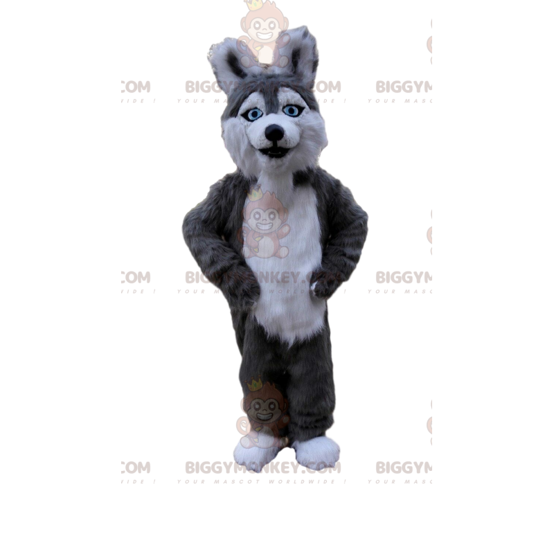 Disfraz de mascota de perro Husky BIGGYMONKEY™, disfraz de