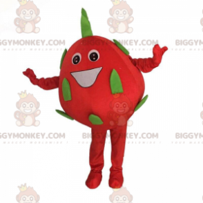 Dragon fruit BIGGYMONKEY™ mascot costume, giant pitaya costume