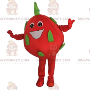 Dragon fruit BIGGYMONKEY™ mascot costume, giant pitaya costume