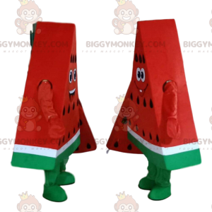 Maskot obřích plátků melounu BIGGYMONKEY™, kostýmy vodního