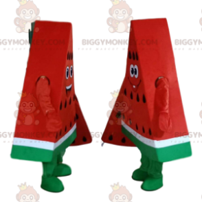Maskot obřích plátků melounu BIGGYMONKEY™, kostýmy vodního