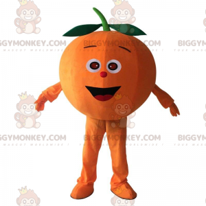 Costume de mascotte BIGGYMONKEY™ d'orange géante, costume de