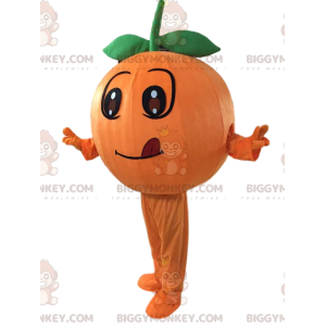 BIGGYMONKEY™ costume da mascotte arancione e tonda arancione