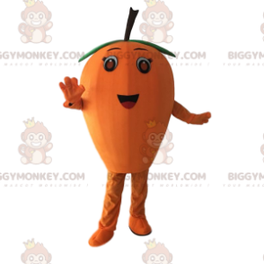 Orange Loquat BIGGYMONKEY™ maskotkostyme, oransjekostyme, gigantisk frukt - Frukt maskot - BIGGYMONKEY_09899 - BiggyMonkey.com