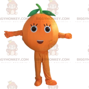 Costume de mascotte BIGGYMONKEY™ d'orange géante, costume de