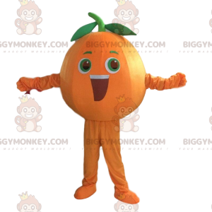 Jätte orange kostym, orange fruktdräkt - BiggyMonkey maskot