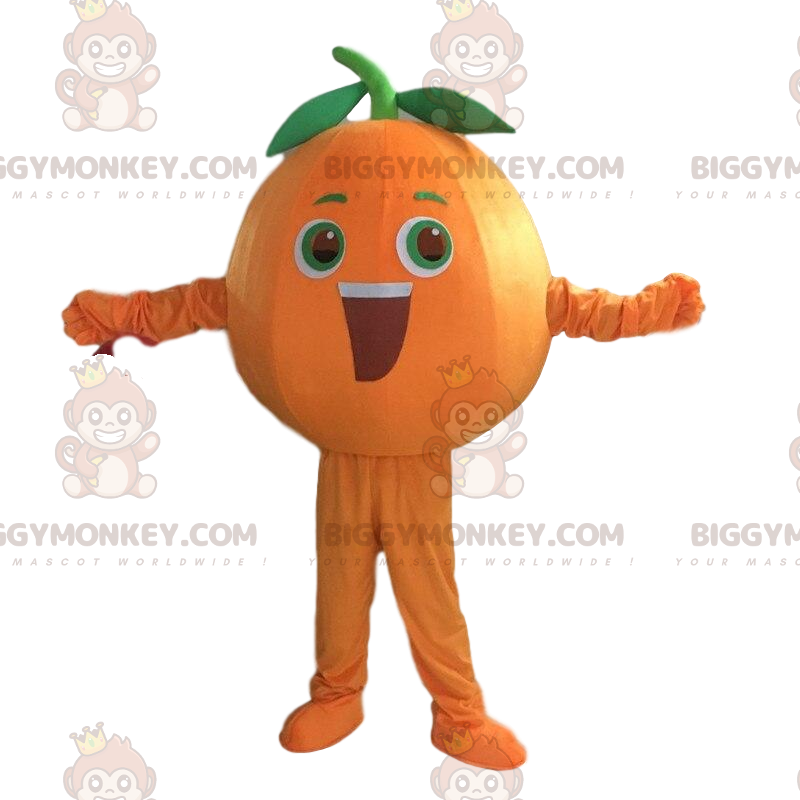 Traje laranja gigante, fantasia de frutas laranja – Traje laranja gigante, fantasia de frutas laranja –