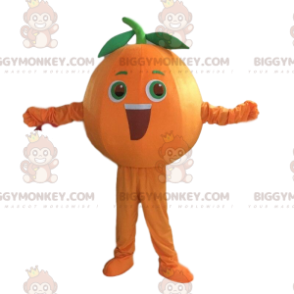 Jätte orange kostym, orange fruktdräkt - BiggyMonkey maskot