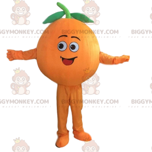 Costume de mascotte BIGGYMONKEY™ d'orange géante, costume de