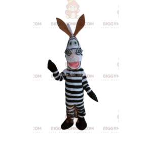 Costume of Marty, the famous zebra of the cartoon Madagascar -